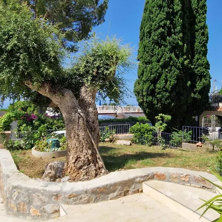 L'oasi Del Barone Villammare